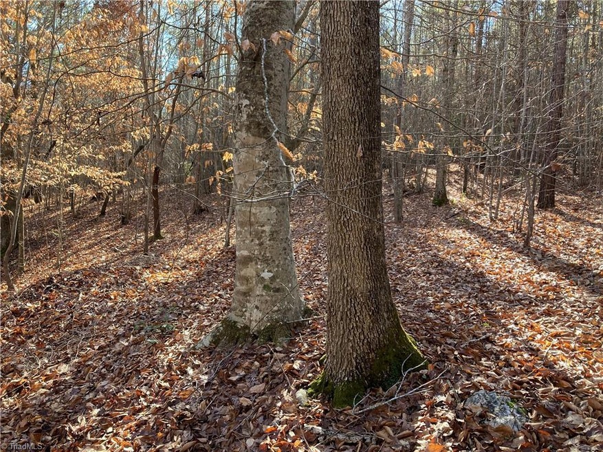 0 Nc Highway 134 N unit 1054741, Star, NC 27375 - photo 1