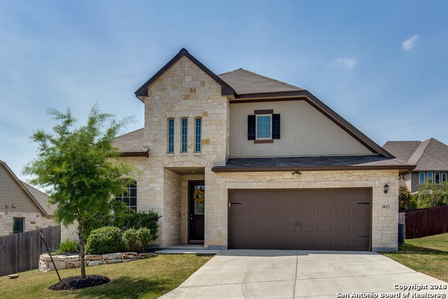 3822 Ox-Eye Daisy, San Antonio, TX 78261 - photo 1