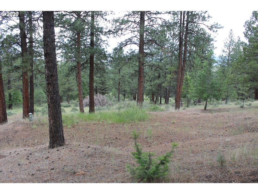 0 Pineview Ln, Canyon City, OR 97820 - photo 1
