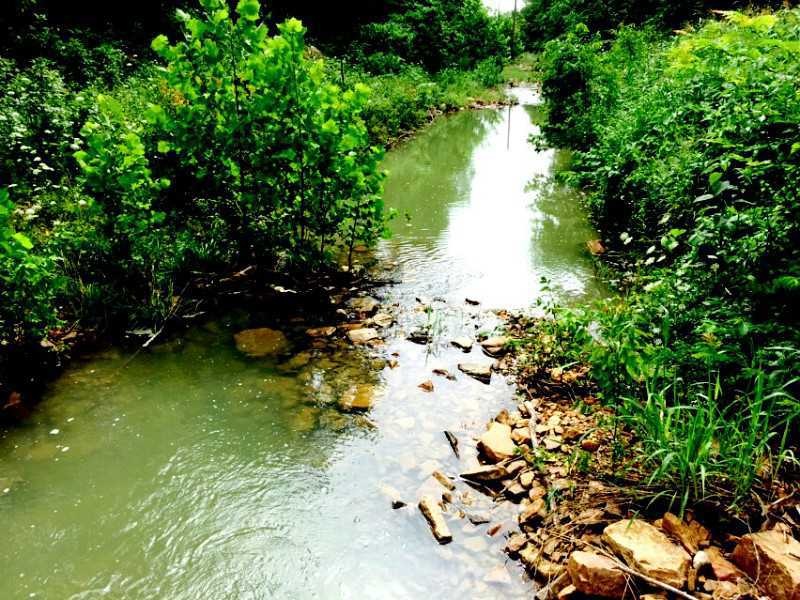 11171 W Hwy 156, West Fork, AR 72774 - photo 1