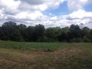 Lot 6 Homestead Ln, Kimberling City, MO 65686 - photo 1