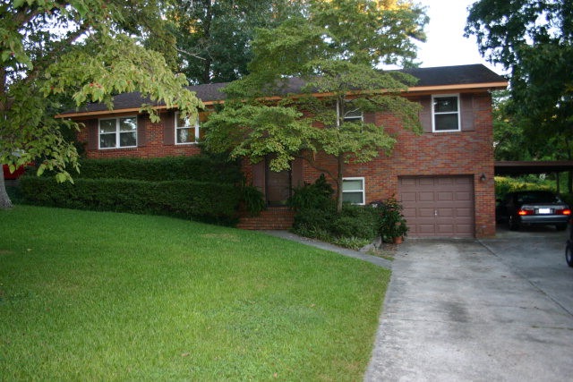 Main View
