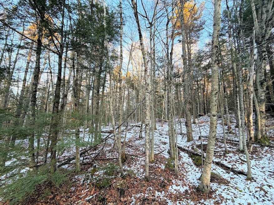 311 Beechwood Ln, Peru, VT 05152 - photo 1