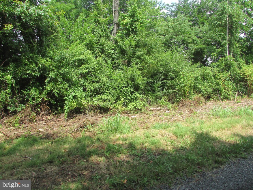 0 Payton Ln, Stevensburg, VA 22726 - photo 1