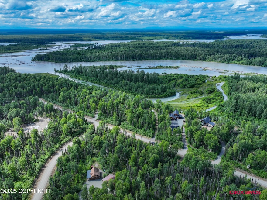 54886 S Salmon Run Rd, Willow, AK 99688 - photo 1