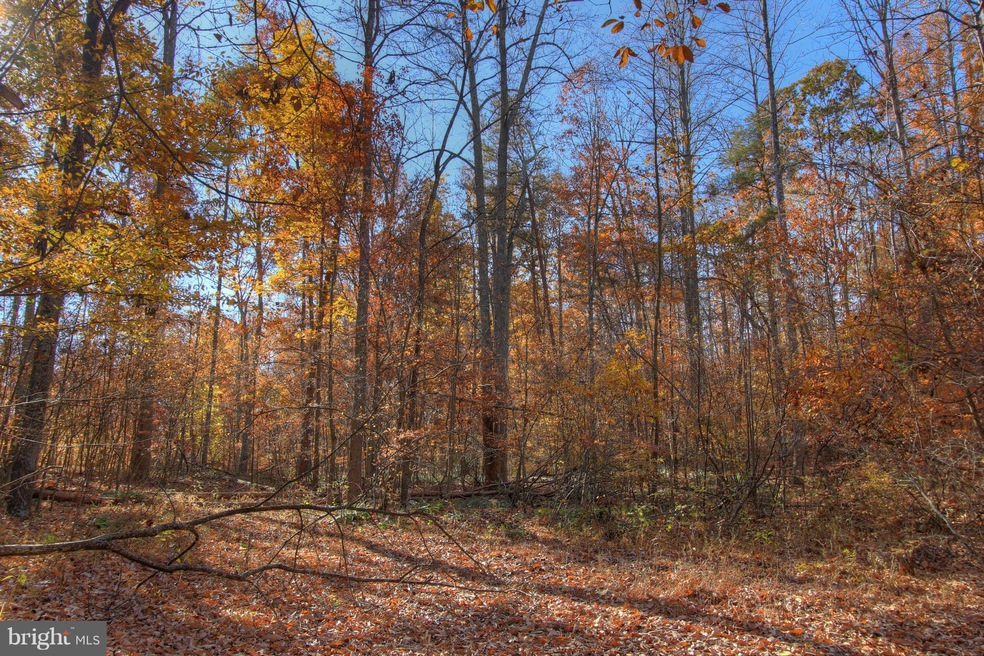 23030 Greenhead Way, Mechanicsville, MD 20659 - photo 1