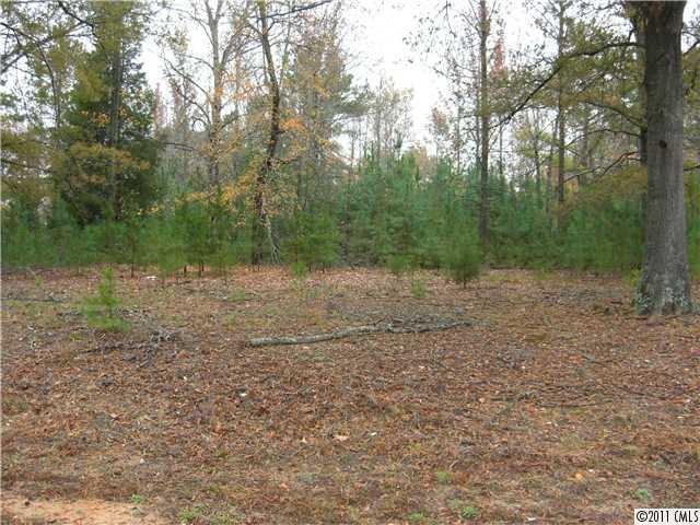 Other - Wooded Lot