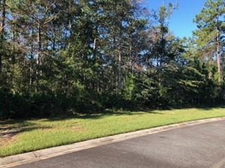 110 Bluebill Trail, Brunswick, GA 31523 - photo 1