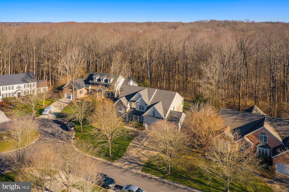 6636 Towering Oak Path, Columbia, MD 21044 - photo 1