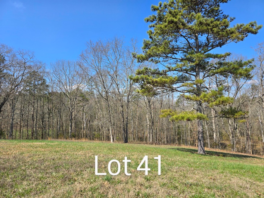 Sold $40,000 • Co-Listing Agent