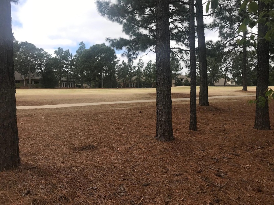 Golf Front