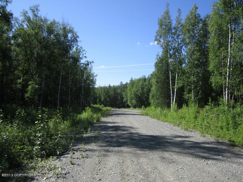 Summer Street View
