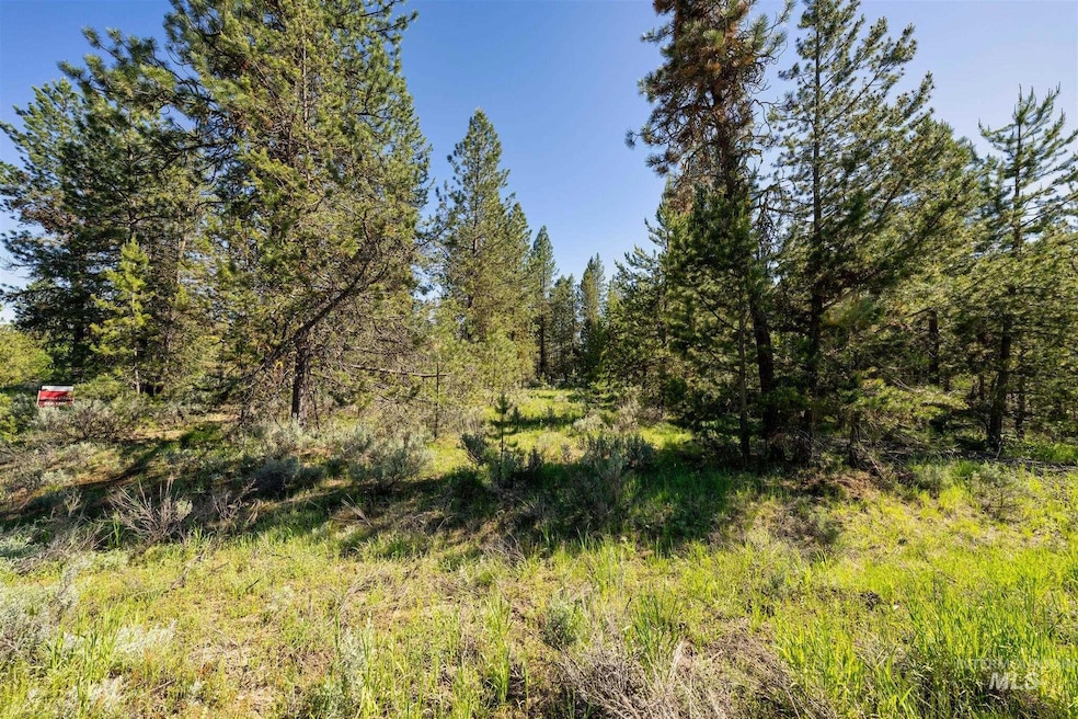 110 Fawnlilly, McCall, ID 83638 - photo 1