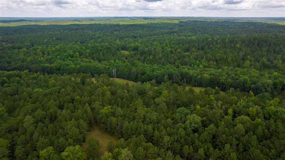 1708 Round Oak Juliette Rd, Juliette, GA 31046 - photo 1