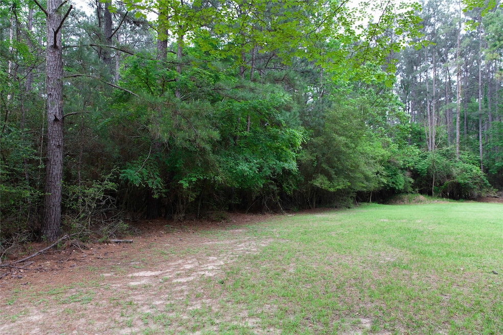 9203 Deer Lodge Rd, Magnolia, TX 77354 - photo 1