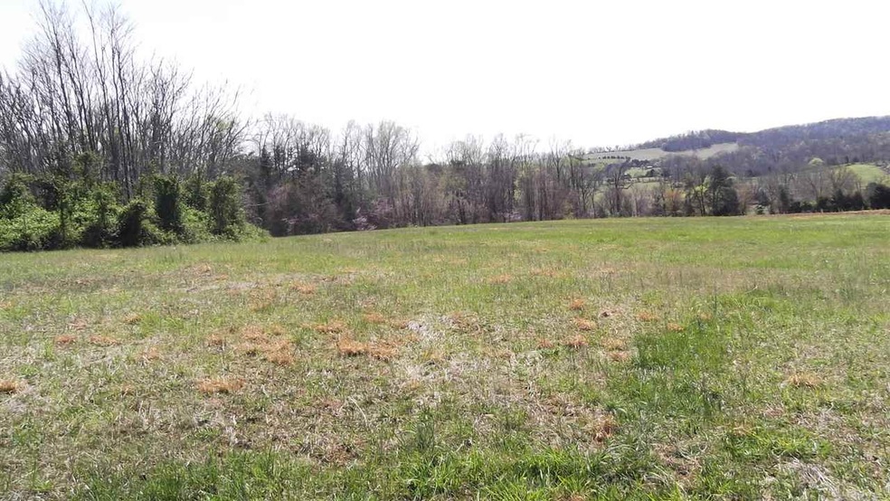 0 Locust Rd unit 577879, Rutledge, TN 37861 - photo 1