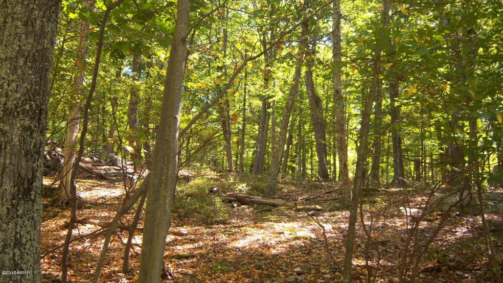 1EE24 E Shore Dr, Lords Valley, PA 18428 - photo 1