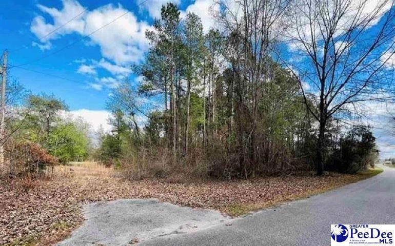 Lot 37 Berry Rd, Latta, SC 29565 - photo 1