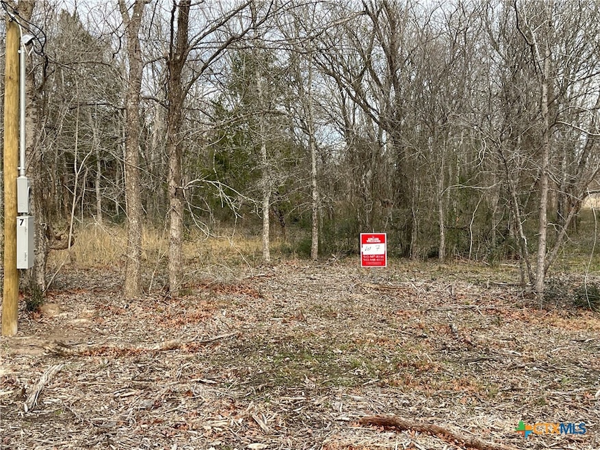 1310 Cypress Trail Loop, Rockdale, TX 76567 - photo 1