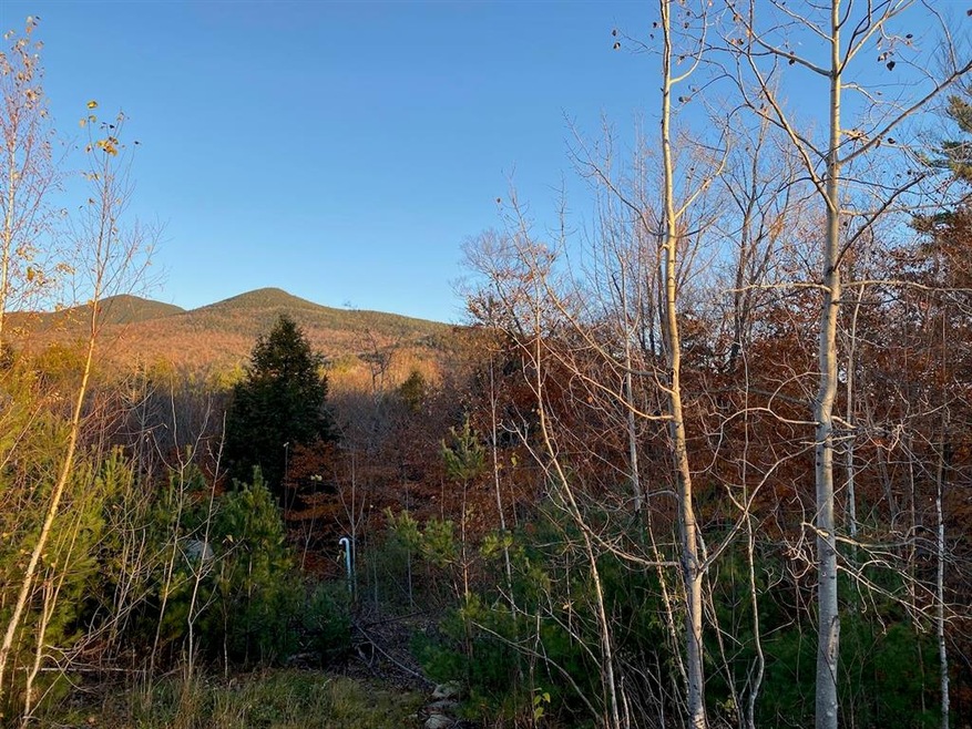 18 Highwoods Dr unit 18, Bartlett, NH 03845 - photo 1