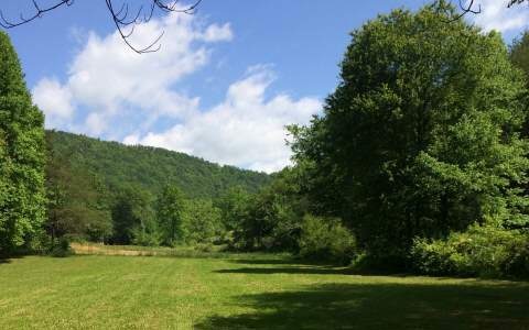 Main View
