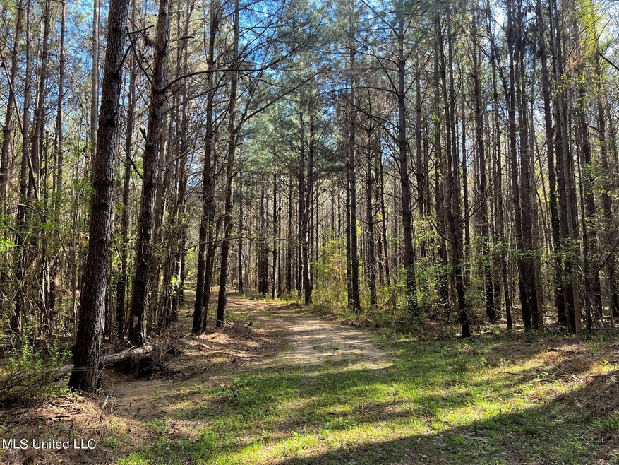 Primary Trail