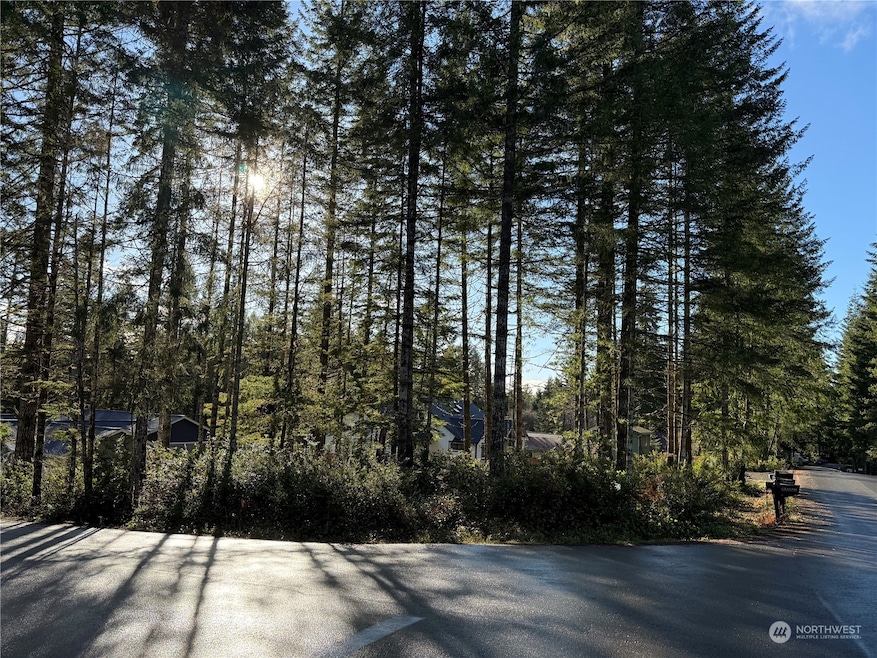 0 E Blackberry Ln, Union, WA 98592 - photo 1