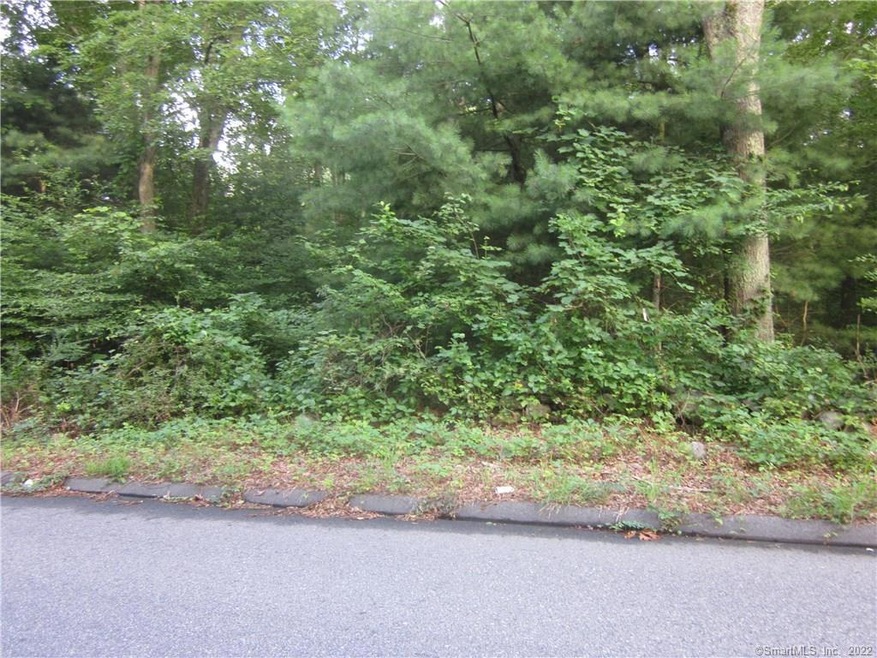 114 Vergason Ave, Norwich, CT 06360 - photo 1