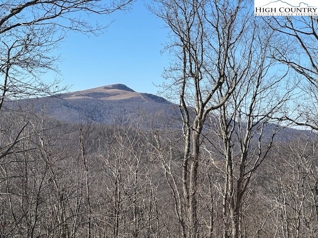 The balds of Roan Mountain