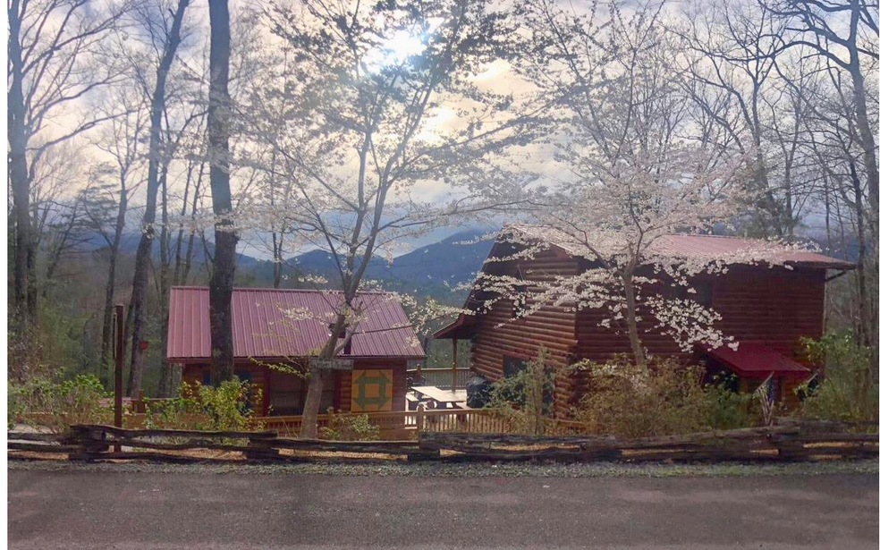 Main View
