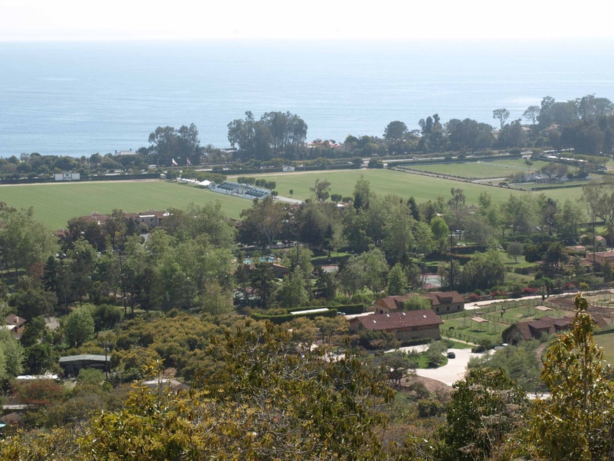 Polo view