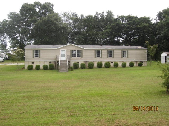 Main View