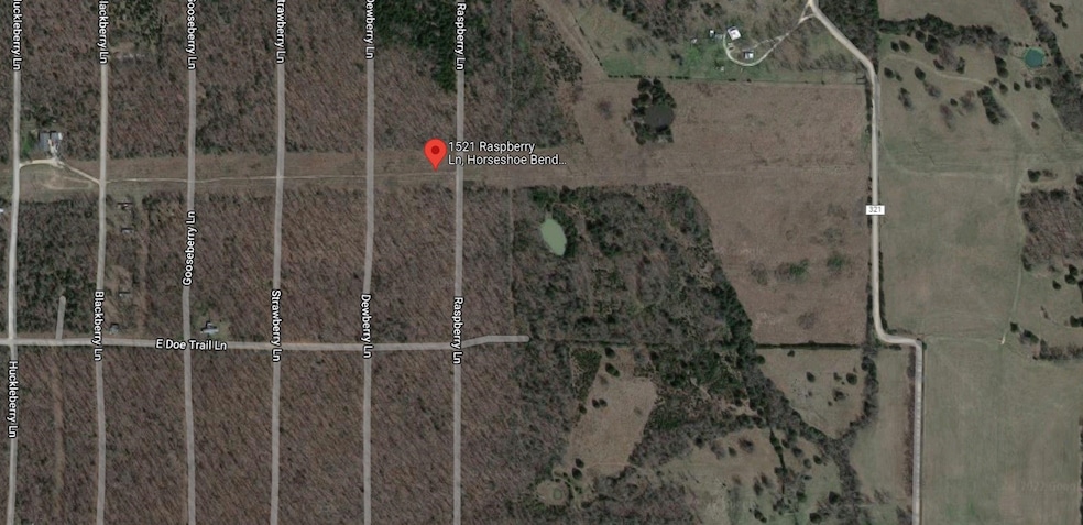 1521 Raspberry Ln, Horseshoe Bend, AR 72512 - photo 1