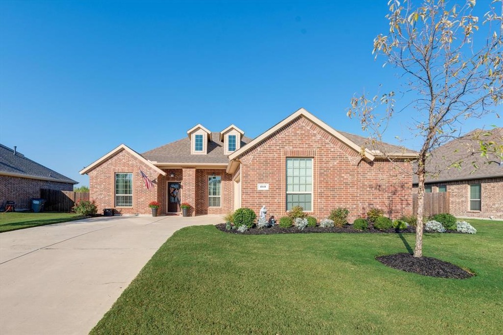 213 Duck Blind Ave, Wylie, TX 75098 - photo 1
