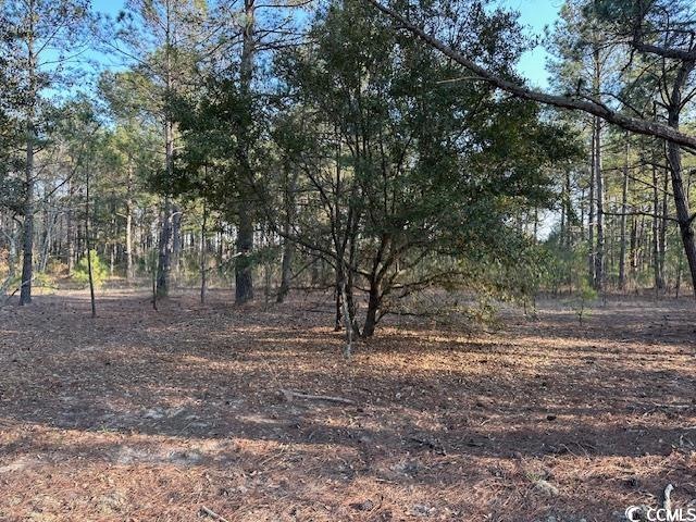 TBD Lot 3 McNabb Short Cut Rd, Loris, SC 29569 - photo 1