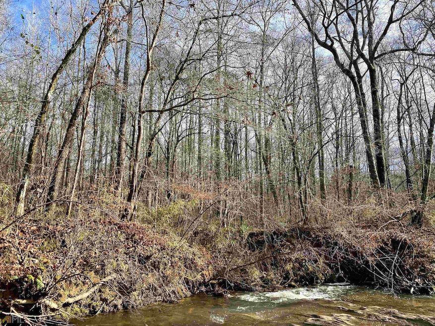 0 Whooping Creek Rd unit 20007499, Carrollton, GA 30116 - photo 1