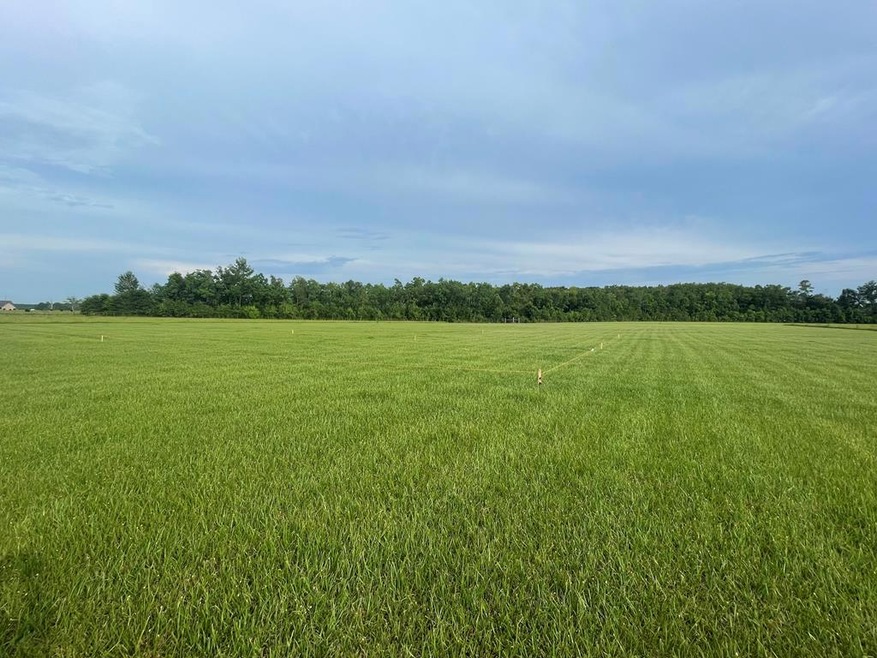 25447 William Rd, Picayune, MS 39466 - photo 1