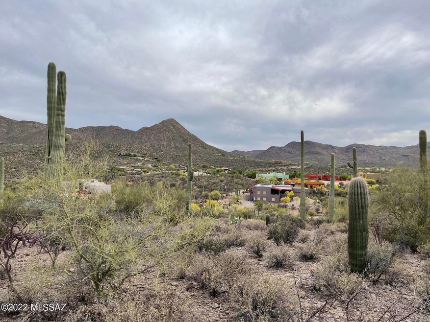 Westerly view & custom homes