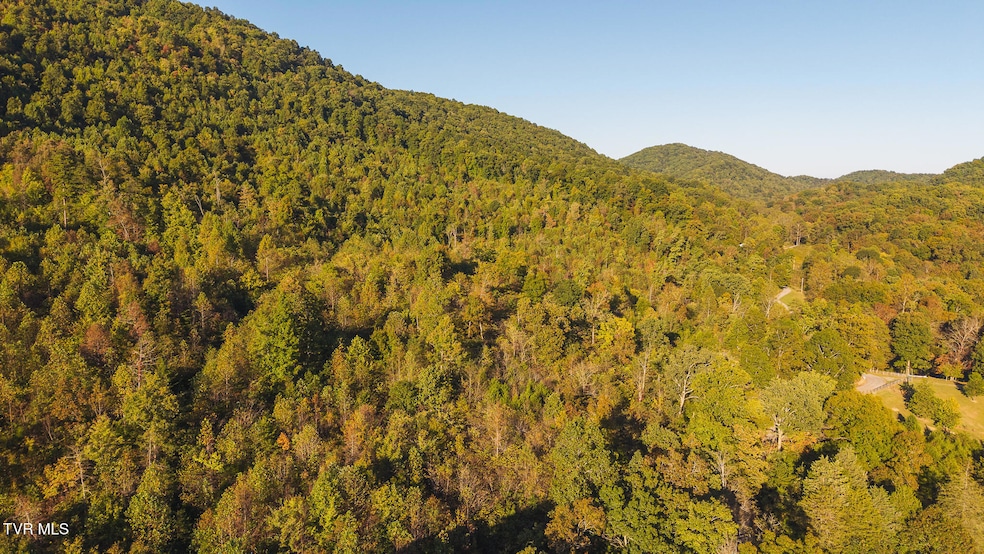 0 Black Valley Rd unit 9988388, Sneedville, TN 37869 - photo 1