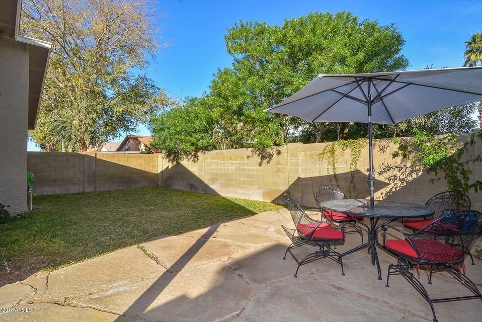 Patio-Backyard
