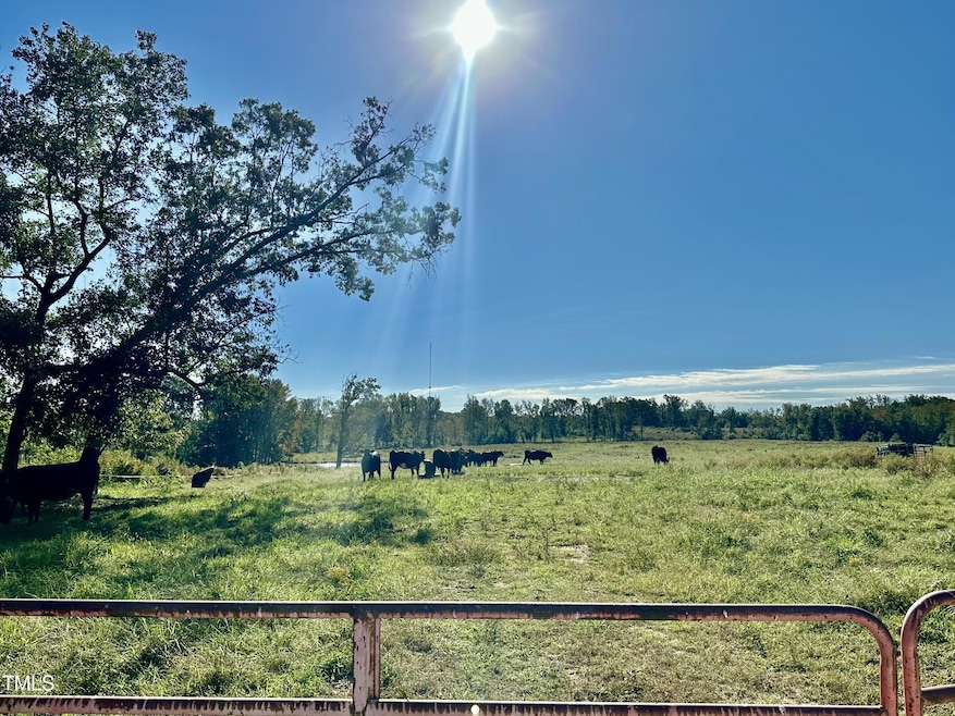 Lot 1 Jones Rd, Hurdle Mills, NC 27541 - photo 1