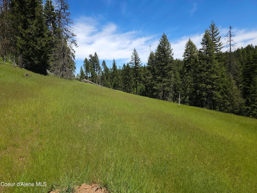 upper meadow