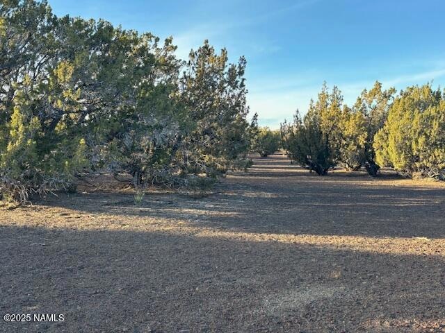 Land Photo 1