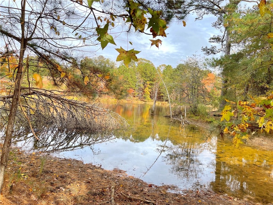 00 White Cut Rd, Walhalla, SC 29691 - photo 1