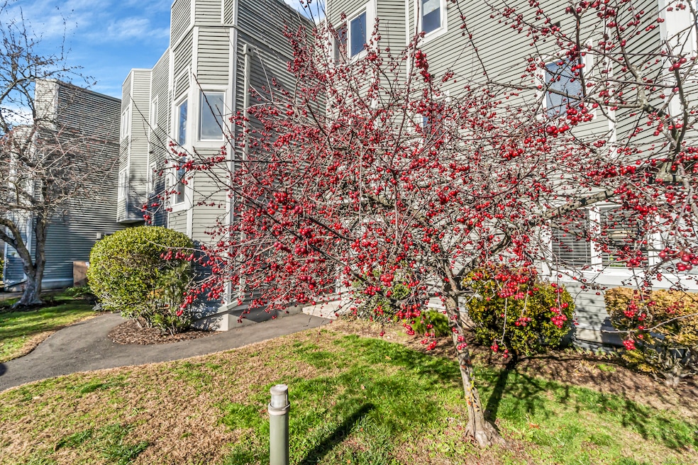 1412 Whitney Ave unit F3, Hamden, CT 06517 - photo 1