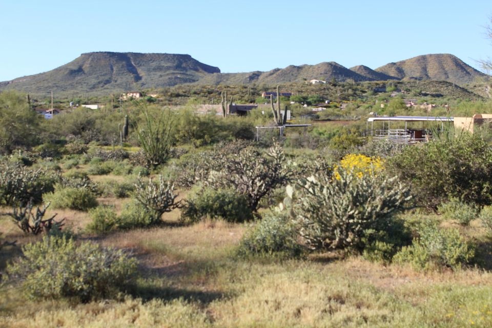 Whitespar15
