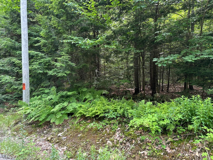 TBD Dingley Rd, Bowdoinham, ME 04008 - photo 1