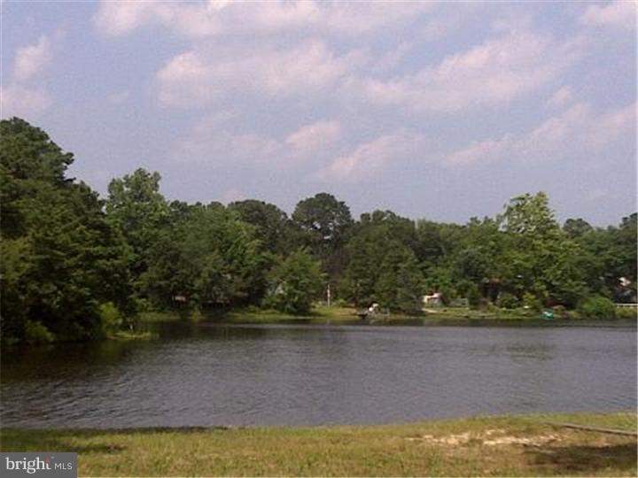 20 Chippewa Trail, Browns Mills, NJ 08015 - photo 1