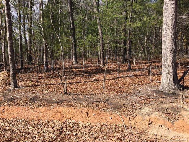 Mostly Level land - partially wooded