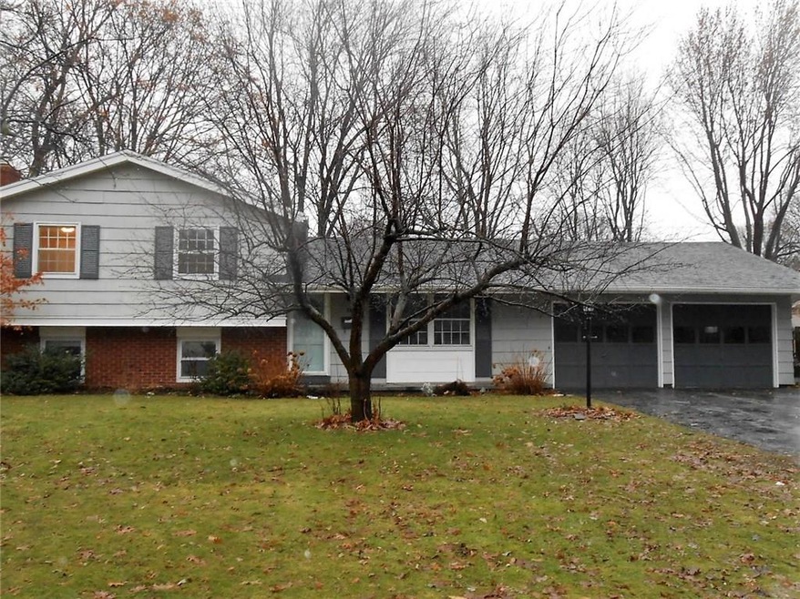 Welcome to 74 Sugar Maple